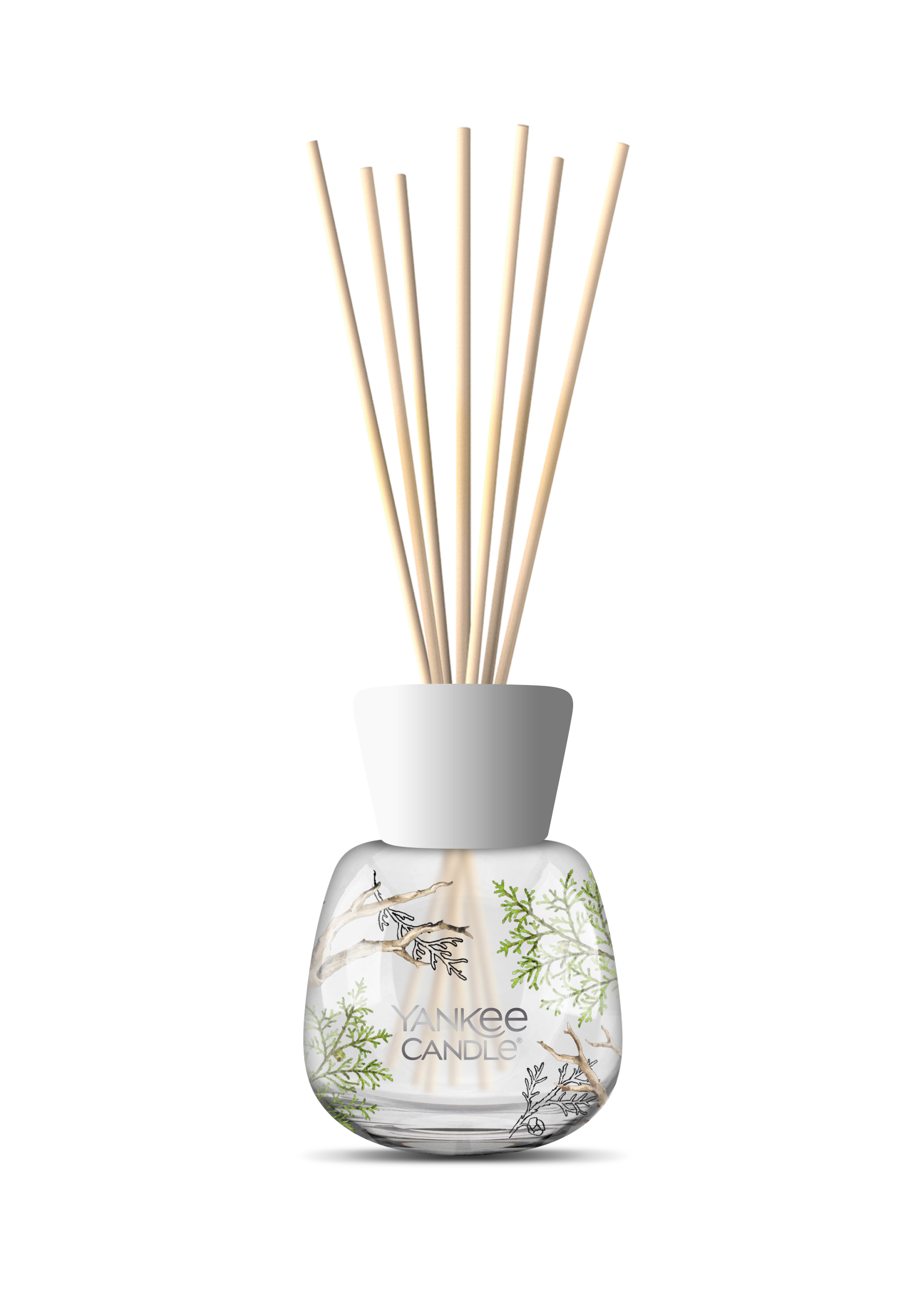 Bayside Cedar Signature Reed Diffuser 100ml Bayside Cedar Signature Reed Diffuser 100ml