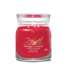 Sparkling Cinnamon Signature Medium Jar 368g 2-Docht