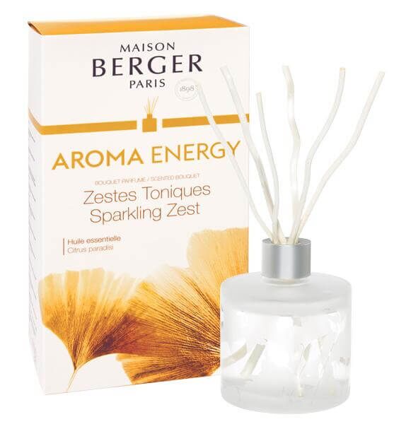 Aroma Energy Raumduft Diffuser